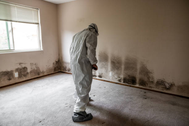 Mold Remediation for Rental Properties in Fall City, WA